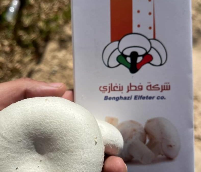 زيارة وفد من كلية الزراعة إلى شركة فطر بنغازي